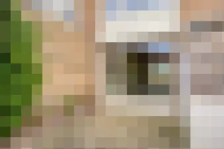 Hertog Janstraat 1 Lieshout thumbnail 33