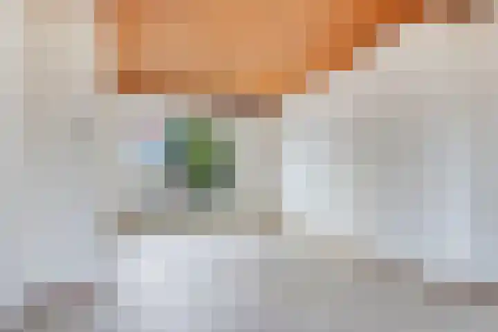 Hertog Janstraat 1 Lieshout thumbnail 4