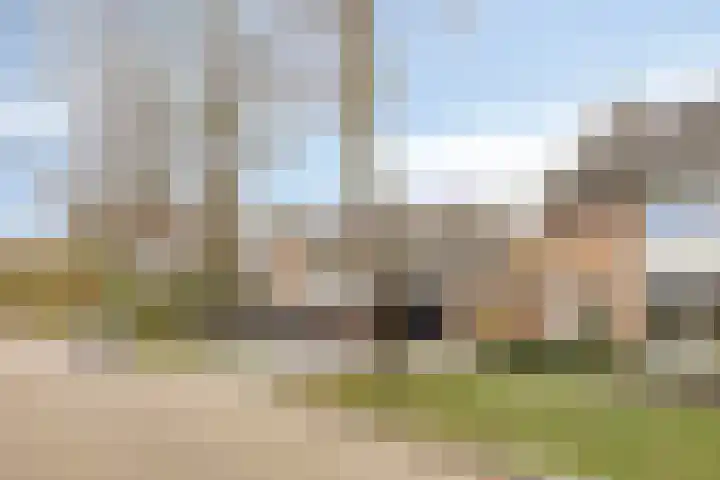 Hertog Janstraat 1 Lieshout thumbnail 7
