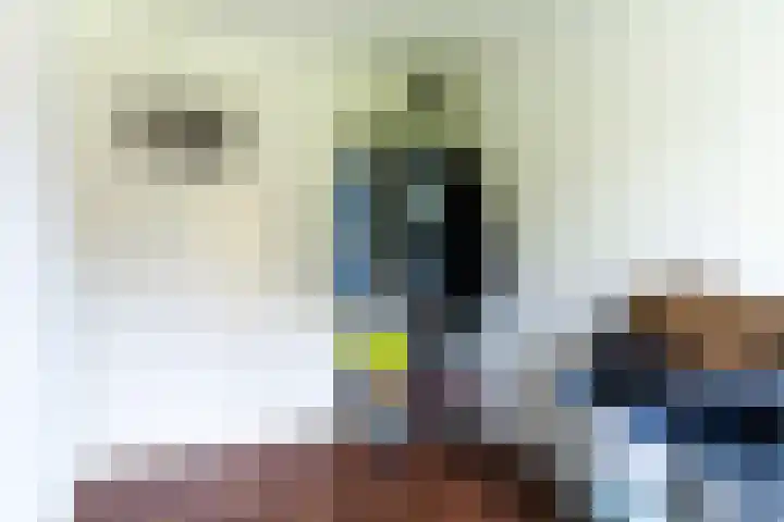 Hertog Janstraat 13 Veghel thumbnail 22