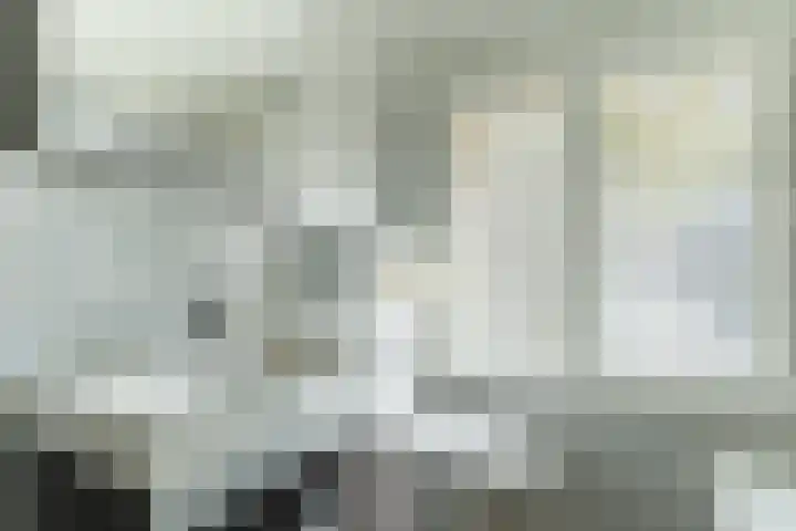 Hertog Janstraat 13 Veghel thumbnail 24