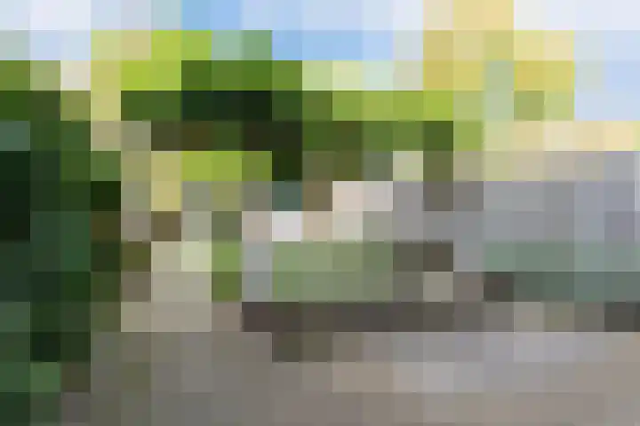 Hertog Janstraat 13 Veghel thumbnail 30