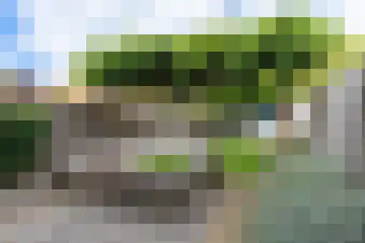 Hertog Janstraat 13 Veghel thumbnail 31