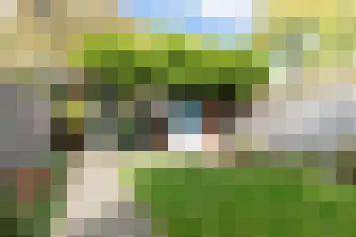 Hertog Janstraat 13 Veghel thumbnail 32