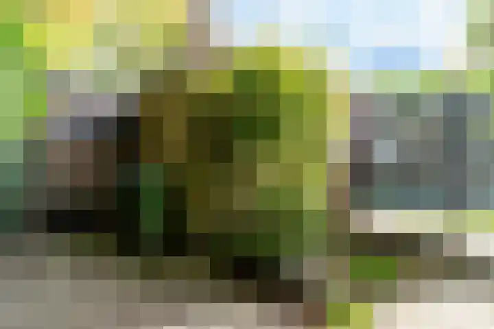 Hertog Janstraat 13 Veghel thumbnail 33