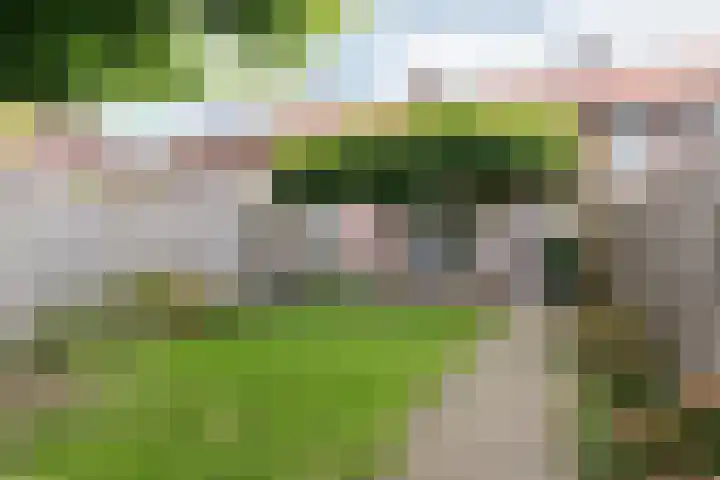 Hertog Janstraat 13 Veghel thumbnail 34