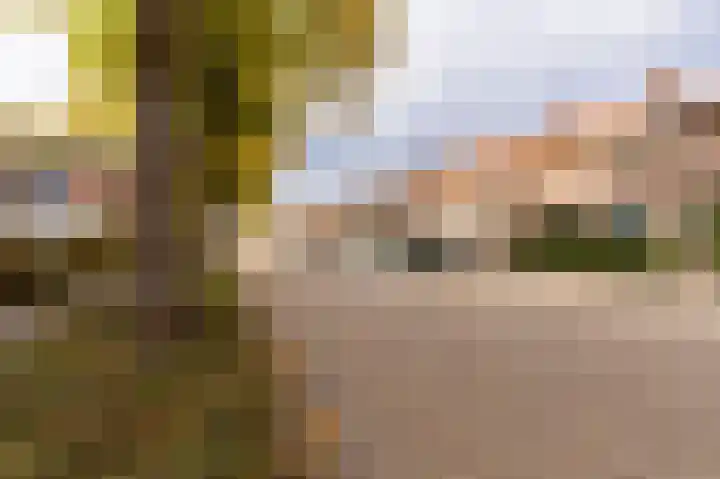 Hertog Janstraat 13 Veghel thumbnail 37