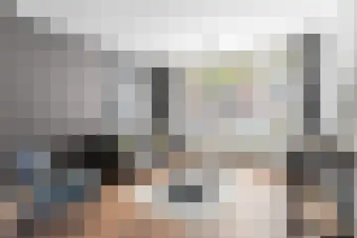 Hertog Janstraat 13 Veghel thumbnail 8