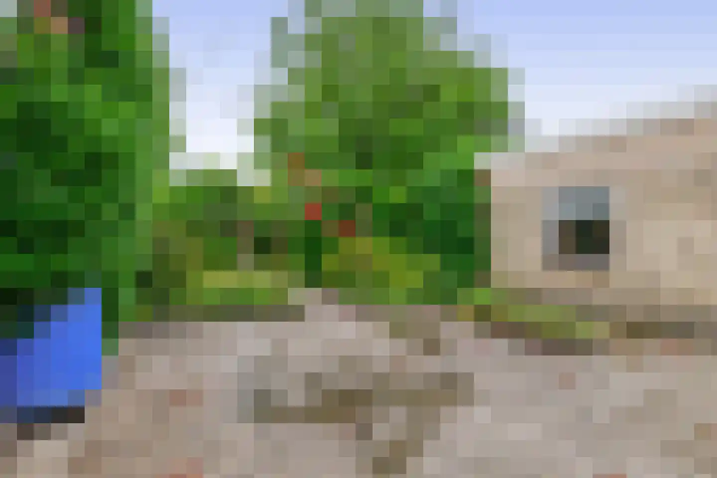 Hertog Janstraat 14 Lieshout thumbnail 35