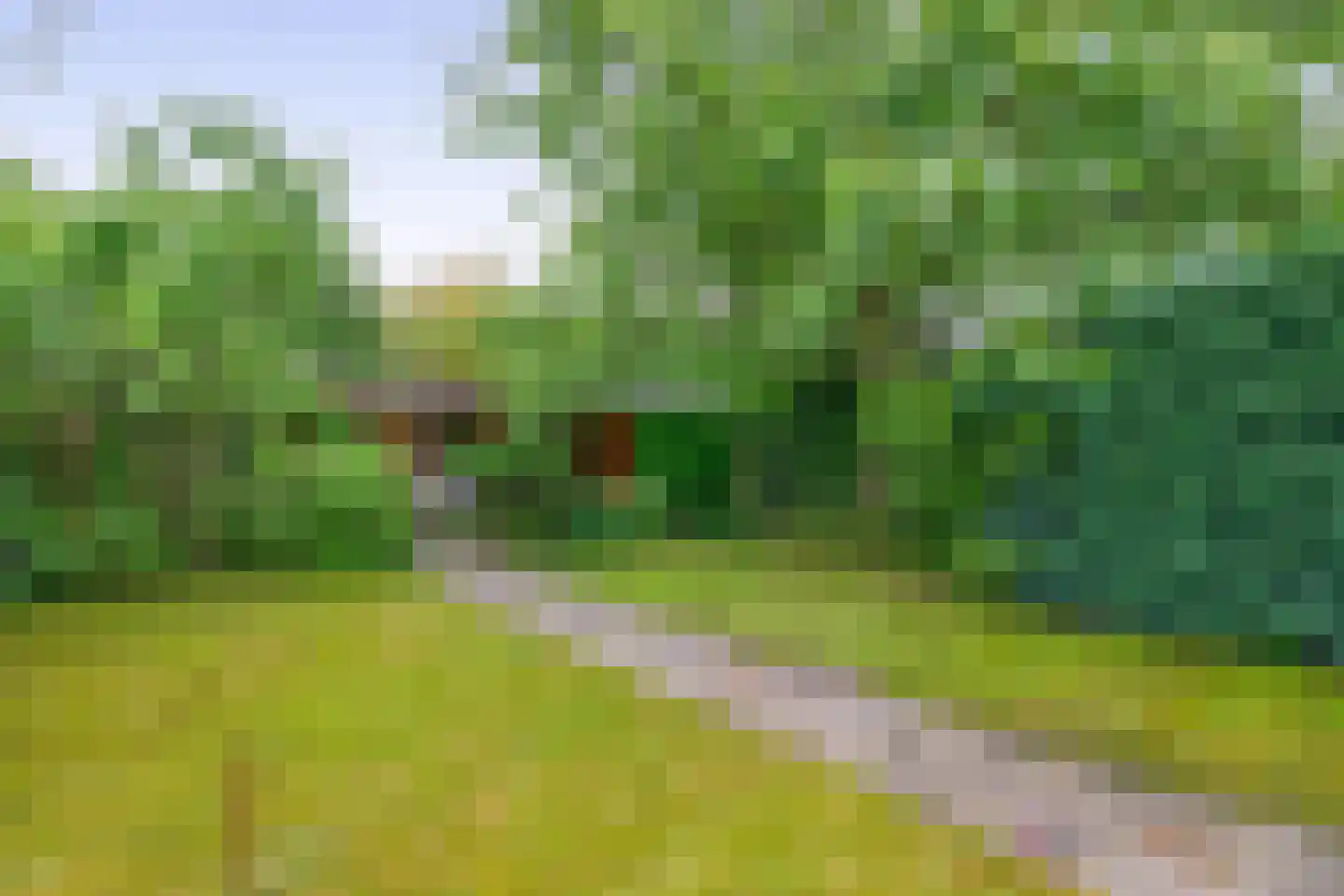 Hertog Janstraat 14 Lieshout thumbnail 37