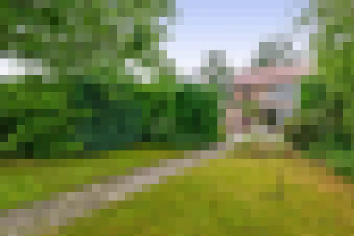 Hertog Janstraat 14 Lieshout thumbnail 38