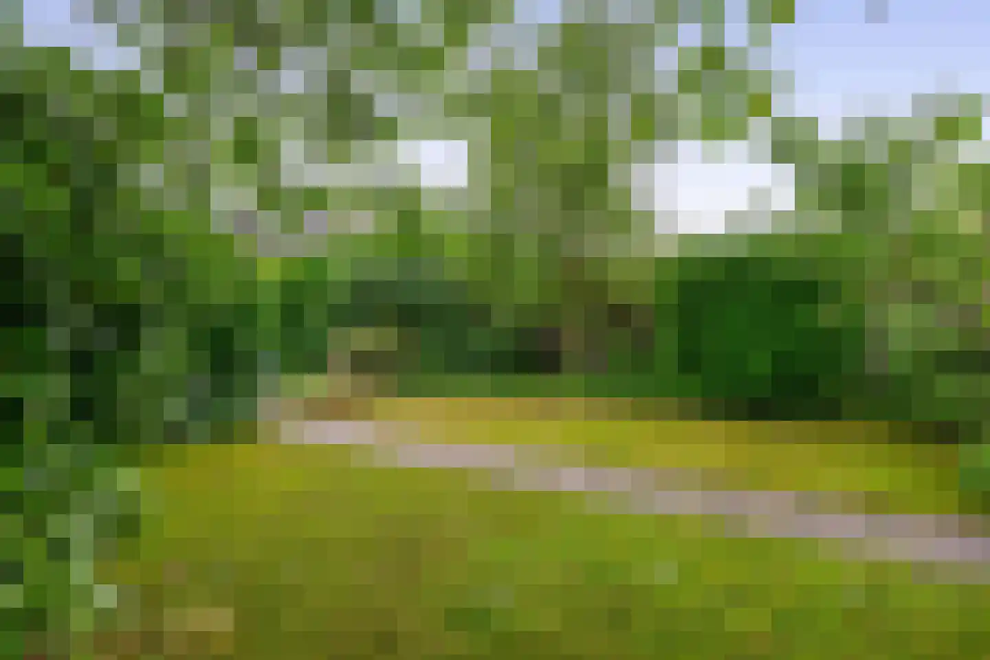 Hertog Janstraat 14 Lieshout thumbnail 39