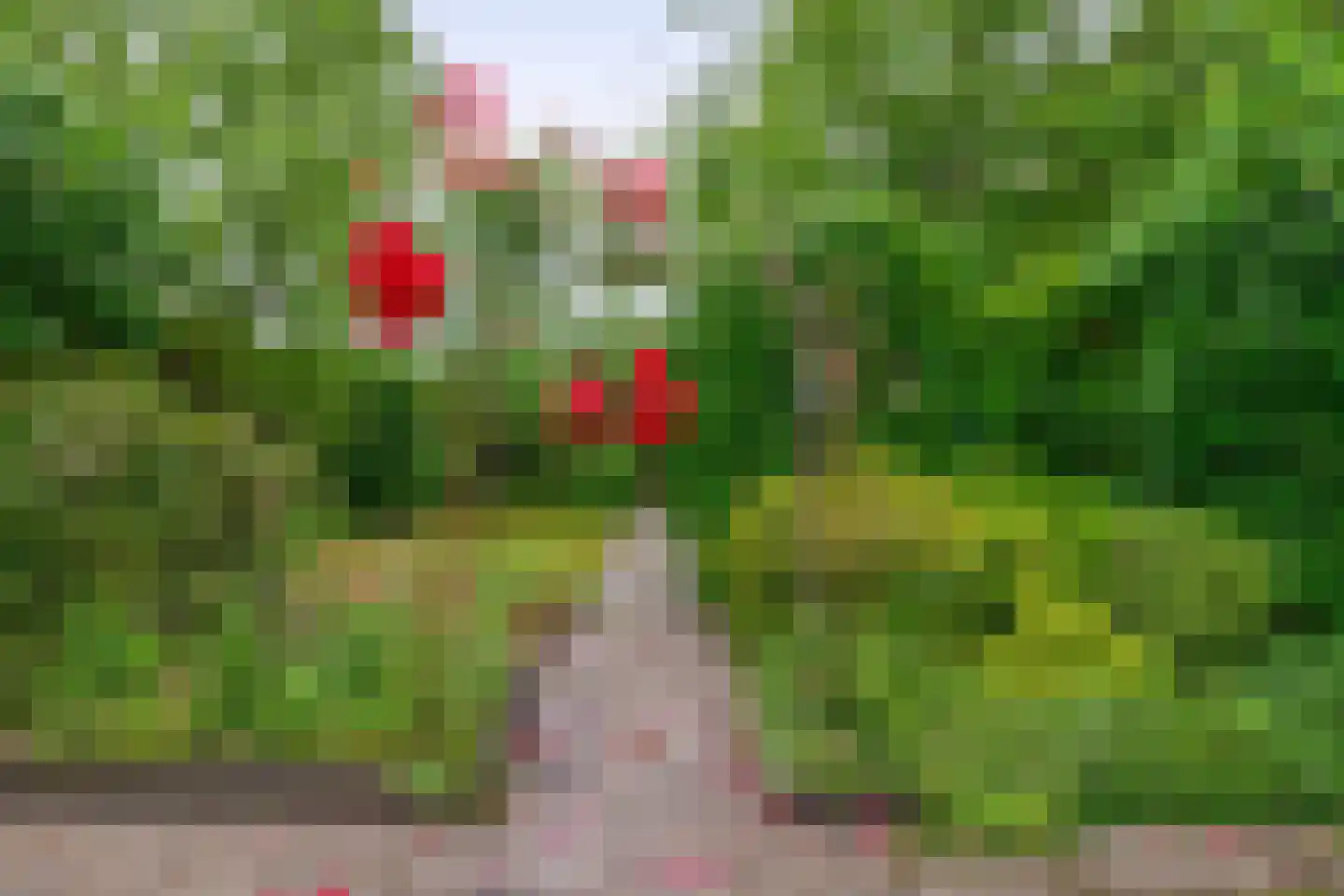 Hertog Janstraat 14 Lieshout thumbnail 4