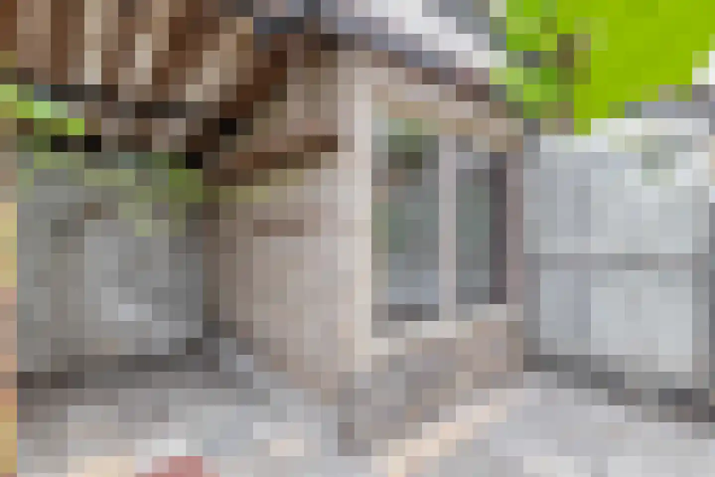 Hertog Janstraat 14 Lieshout thumbnail 48