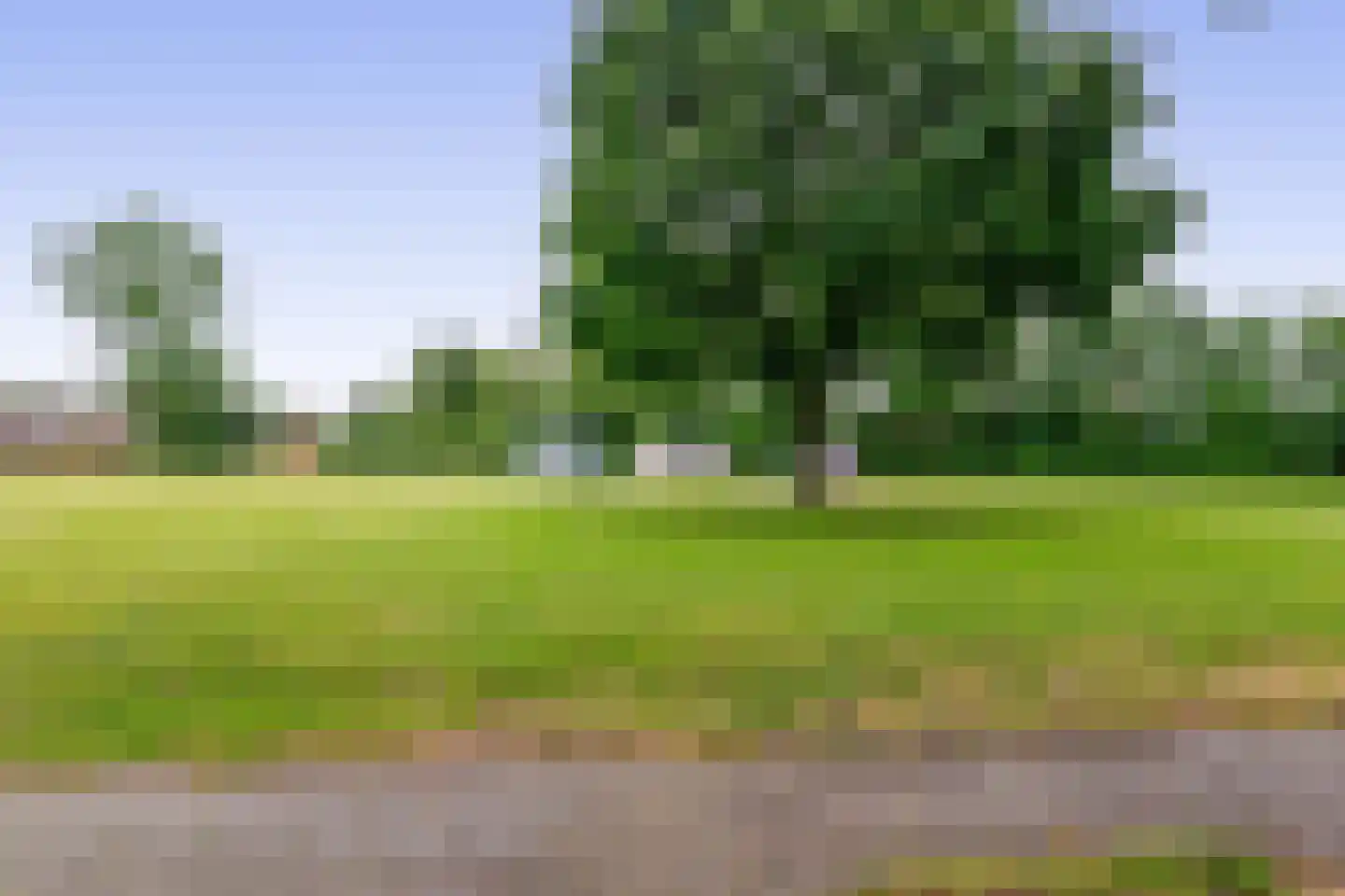 Hertog Janstraat 14 Lieshout thumbnail 49