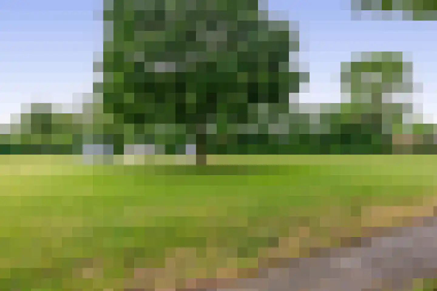 Hertog Janstraat 14 Lieshout thumbnail 50