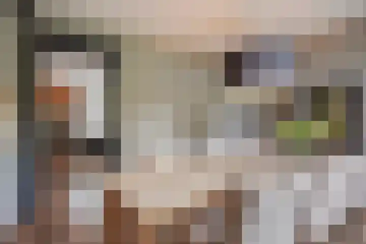 Hertog Janstraat 2 's-Hertogenbosch thumbnail 10