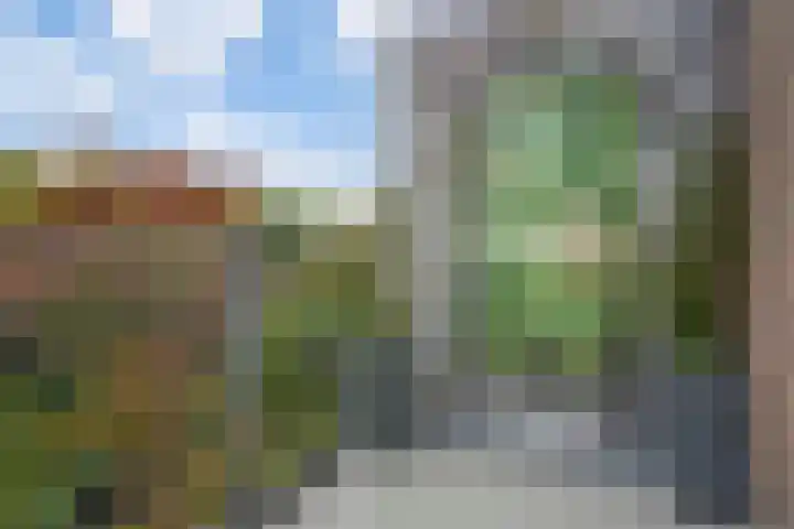 Hertog Janstraat 2 's-Hertogenbosch thumbnail 20