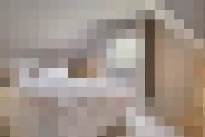 Hertog Janstraat 2 's-Hertogenbosch thumbnail 26