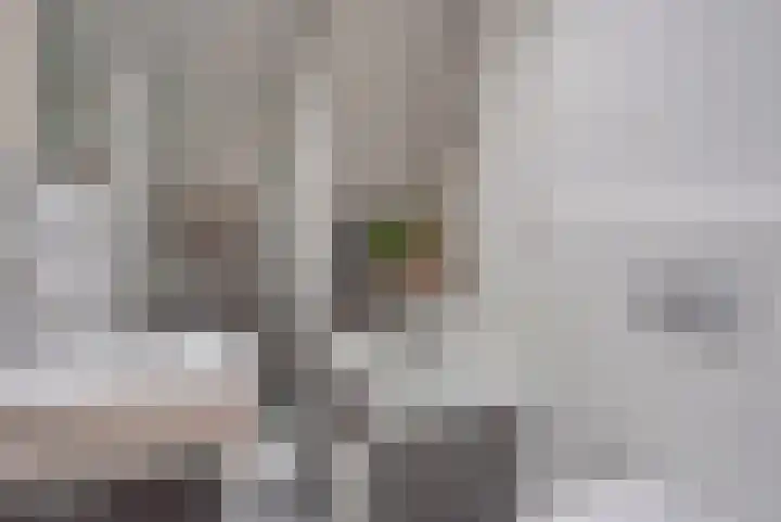 Hertog Janstraat 2 's-Hertogenbosch thumbnail 31