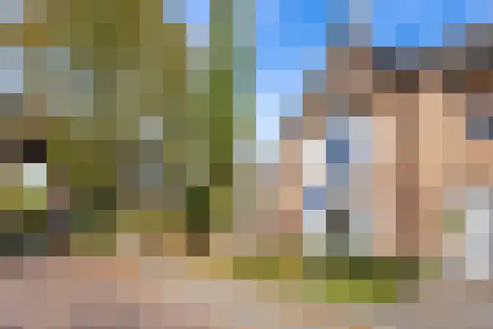Hertog Janstraat 2 's-Hertogenbosch thumbnail 35