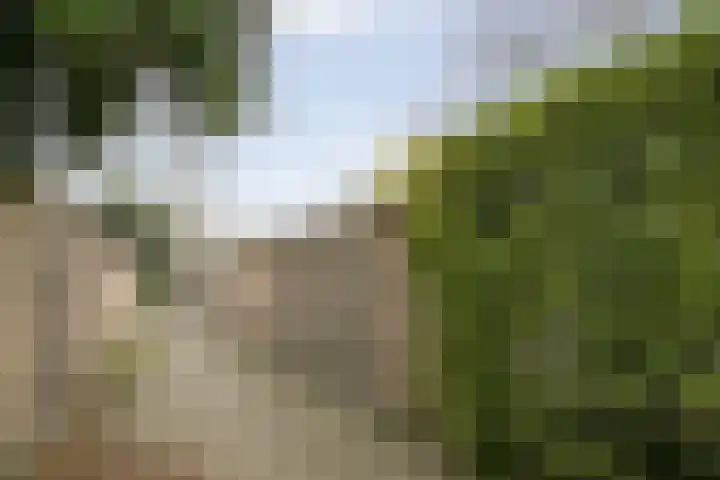 Hertog Janstraat 2 's-Hertogenbosch thumbnail 37