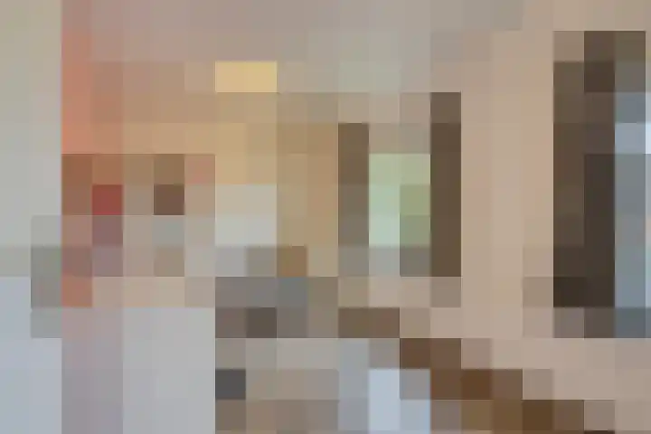 Hertog Janstraat 28 Lith thumbnail 12