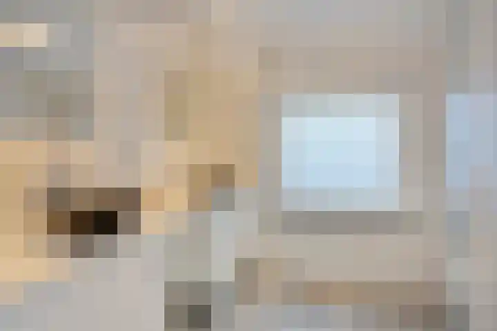 Hertog Janstraat 28 Lith thumbnail 14