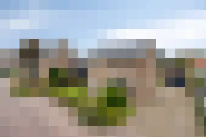 Hertog Janstraat 28 Lith thumbnail 25