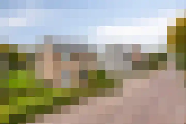 Hertog Janstraat 28 Lith thumbnail 26