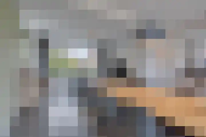 Hertog Janstraat 28 Lith thumbnail 4