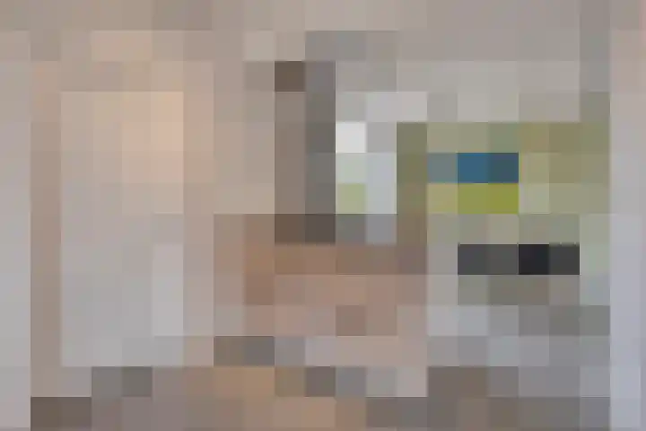 Hertog Janstraat 28 Lith thumbnail 7