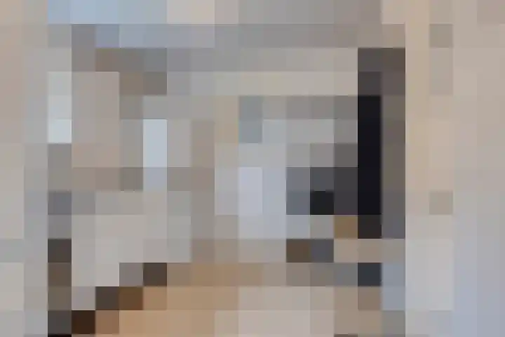 Hertog Janstraat 28 Lith thumbnail 9