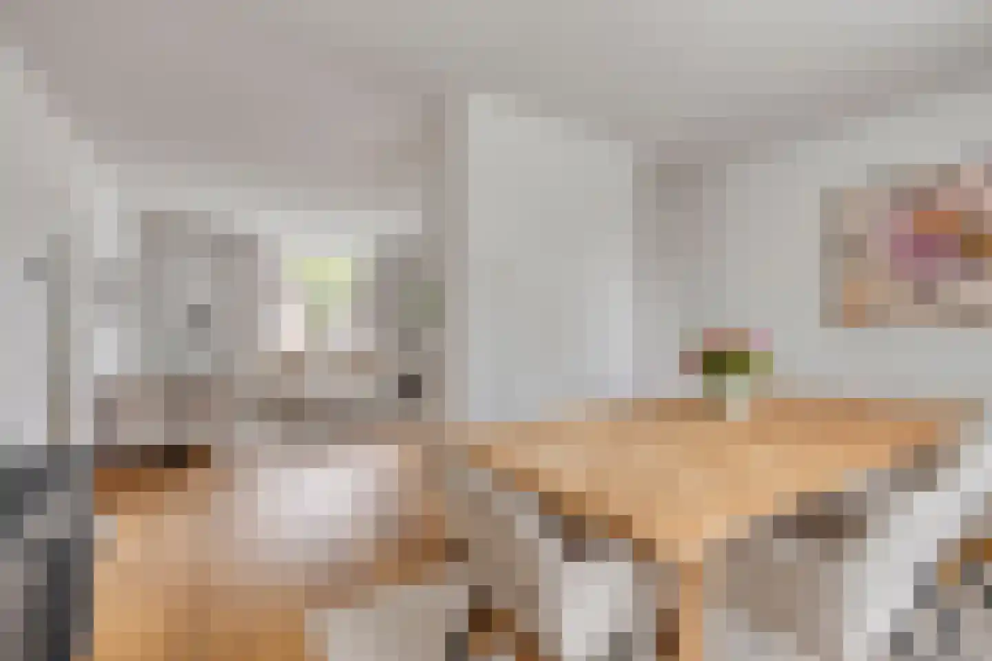 Hertog Janstraat 35 's-Hertogenbosch thumbnail 9