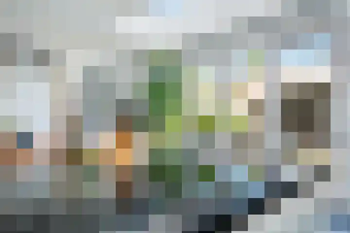 Hertog Janstraat 35 Sint-Oedenrode thumbnail 14