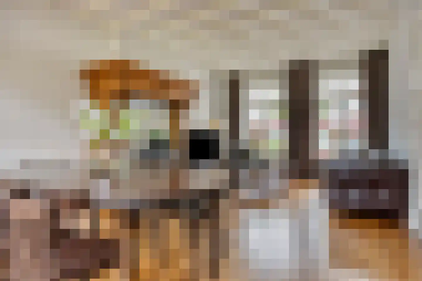 Hertog Janstraat 4 Waalwijk thumbnail 12