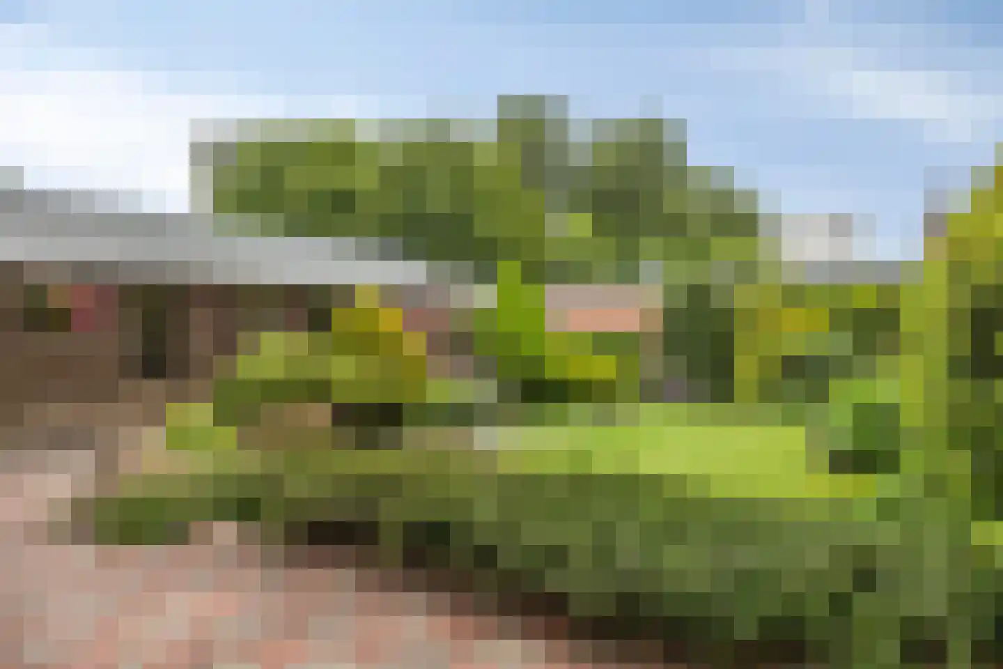 Hertog Janstraat 4 Waalwijk thumbnail 17