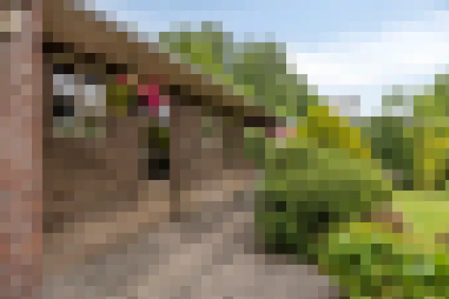 Hertog Janstraat 4 Waalwijk thumbnail 18