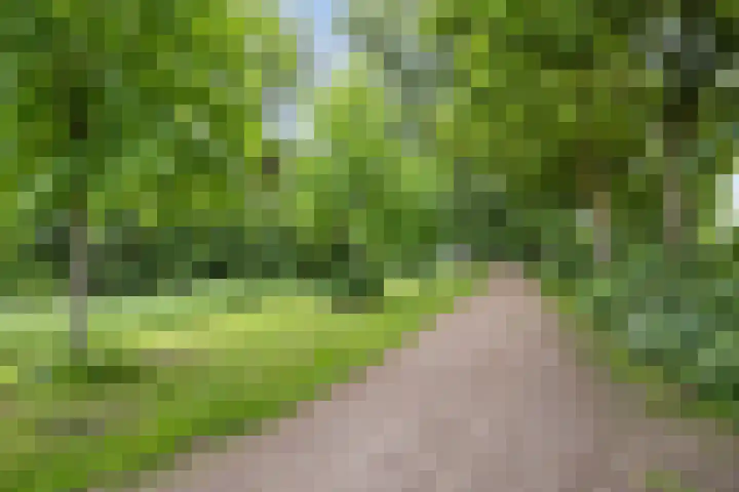 Hertog Janstraat 4 Waalwijk thumbnail 40