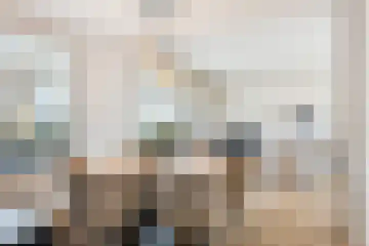 Hertog Janstraat 40 Lith thumbnail 18
