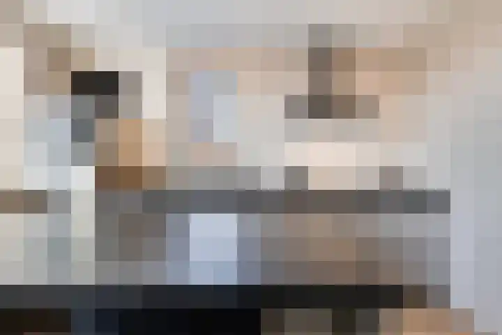 Hertog Janstraat 40 Lith thumbnail 22