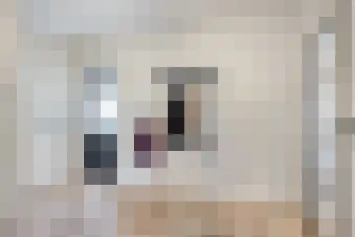 Hertog Janstraat 40 Lith thumbnail 25