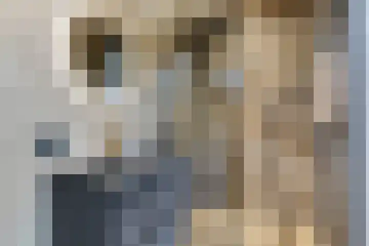Hertog Janstraat 40 Lith thumbnail 4