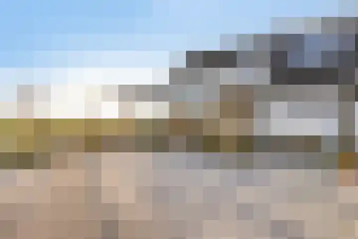 Hertog Janstraat 40 Lith thumbnail 52