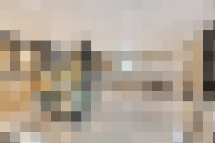 Hertog Janstraat 40 Lith thumbnail 59