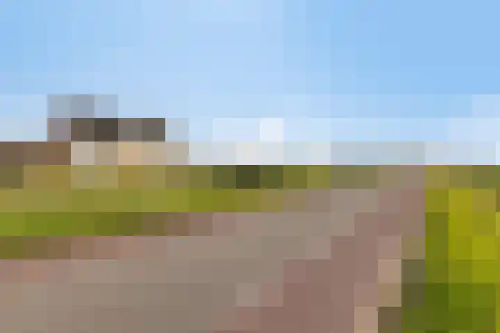 Hertog Janstraat 40 Lith thumbnail 7