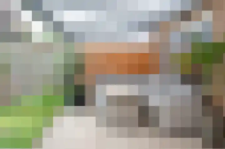 Hertog Karel van Gelrewg 31 Vorden thumbnail 20