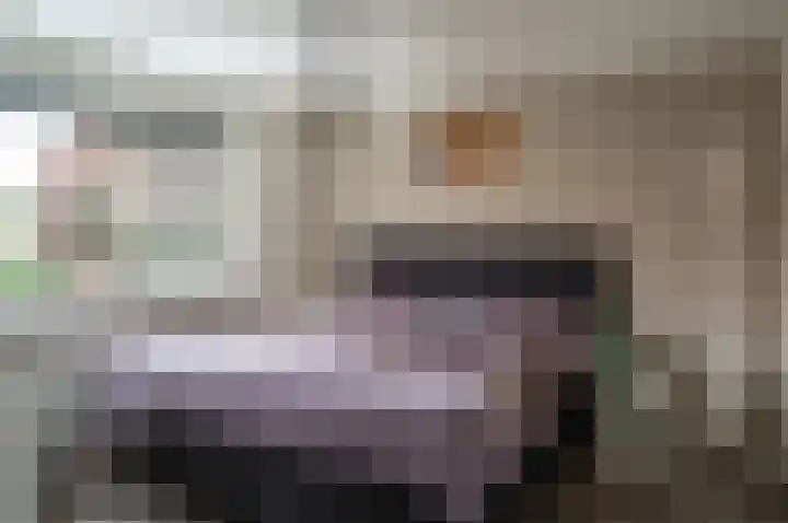 Hertog Karel van Gelrewg 31 Vorden thumbnail 25