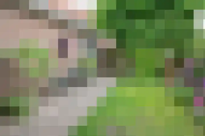 Hertog Karel van Gelrewg 31 Vorden thumbnail 28