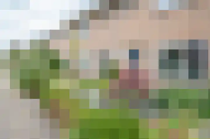 Hertog Karel van Gelrewg 31 Vorden thumbnail 7